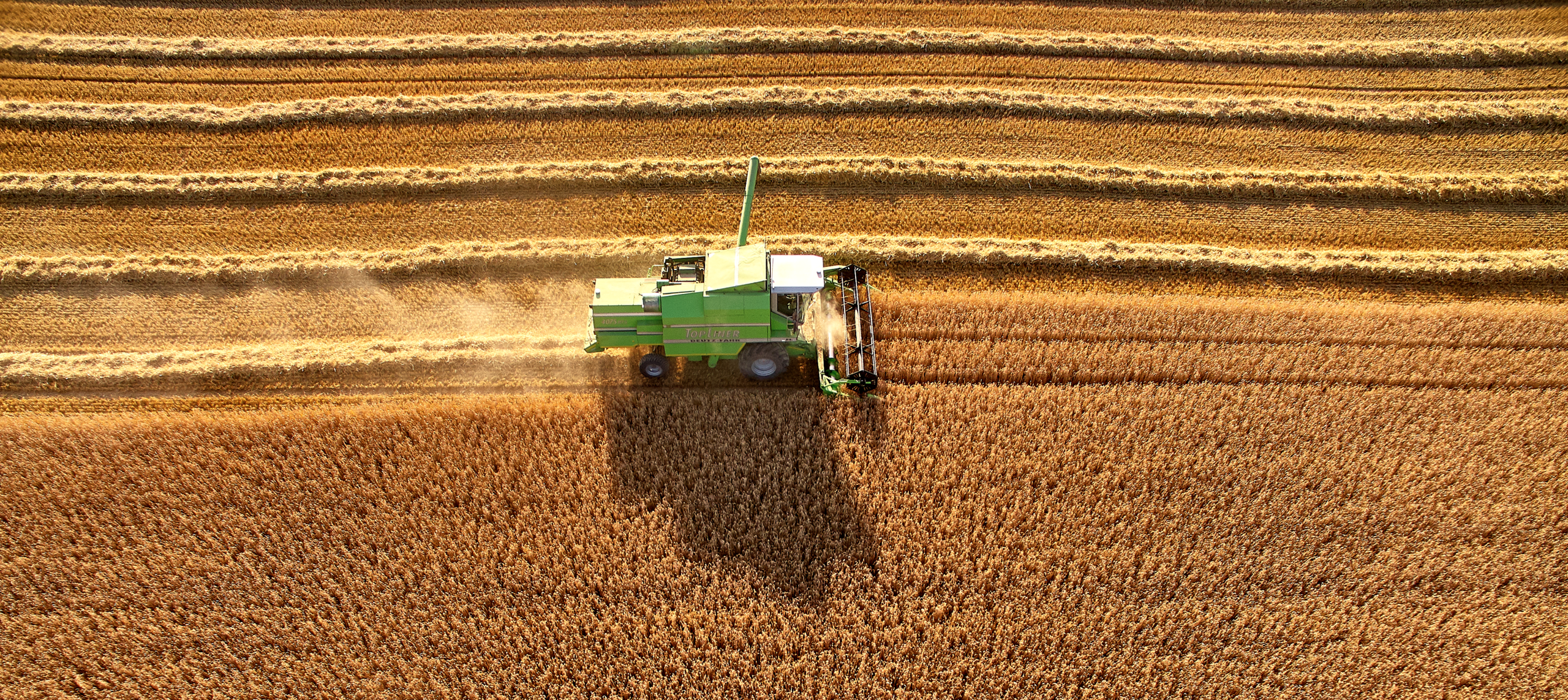 Picture harvester on a field