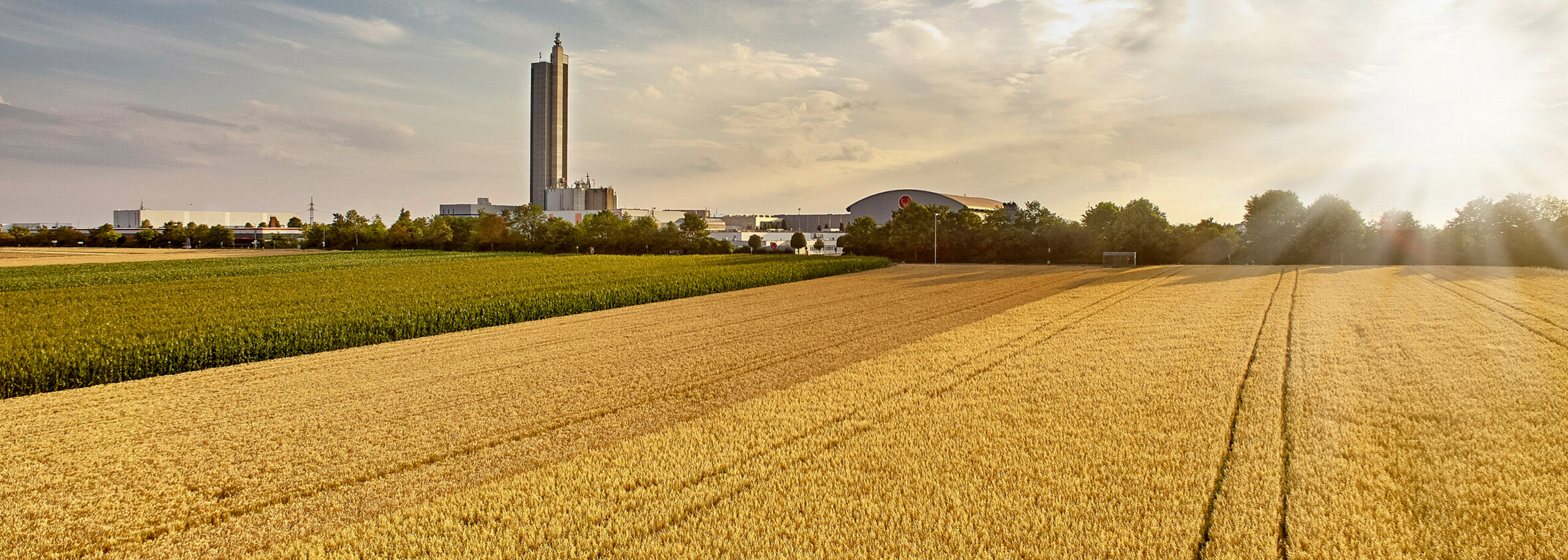 Abbildung Mühlenturm mit Getreidefeld